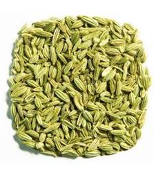 BOTE Fennel Seeds 600g