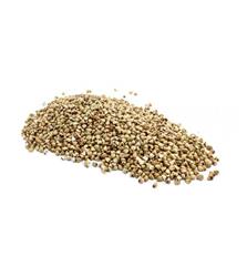 Buckwheat Seeds 2.5k 84